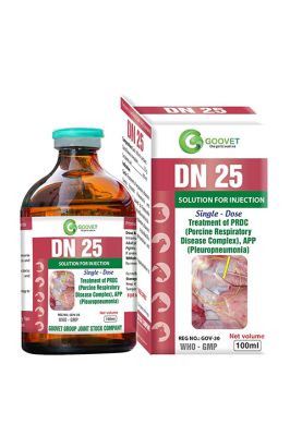 DN 25