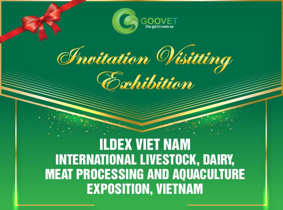 Invitation Visiting Exhibition
