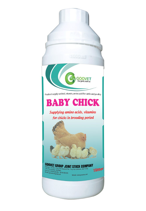 BABY CHICK - goovetvn.com - Need Baby Chick Growth Vitamins