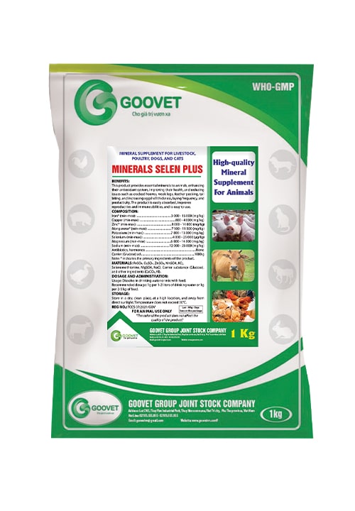 MINERALS SELEN PLUS