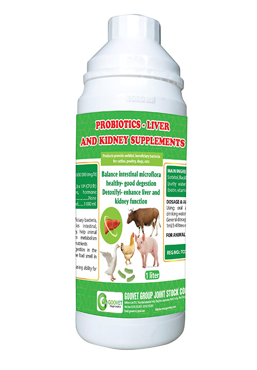 PROBIOTICS LIVER AND KIDNEY SUPPLEMENTS