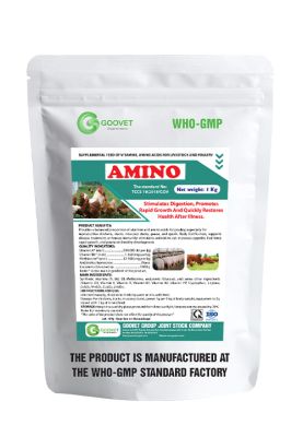 AMINO