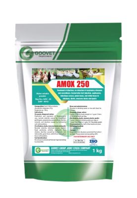 amox-250-iraq