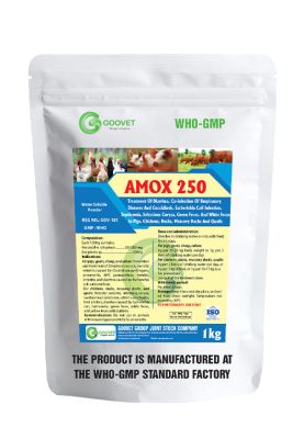 AMOX 250