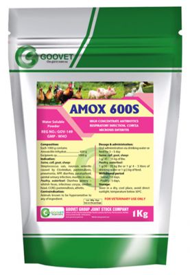 AMOX 600S - goovetvn.com
