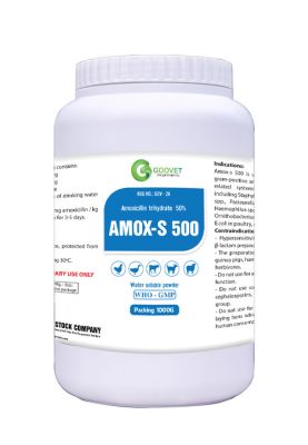 AMOX-S 500 (export)