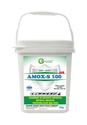 AMOX-S 500