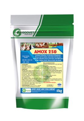 AMOX 250