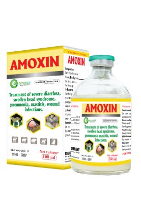 AMOXIN (Iraq)