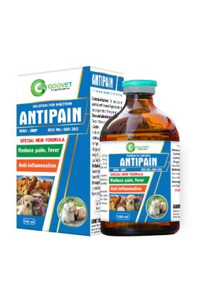 antipain-iraq