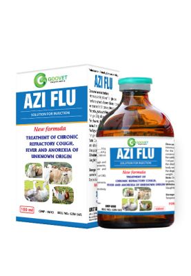 azi-flu-iraq