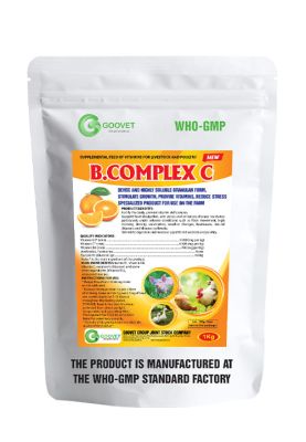 B.COMPLEX C NEW