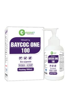 BAYCOC ONE 100