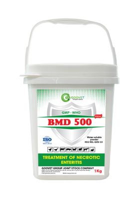 BMD 500