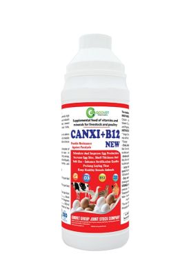 CANXI+B12 NEW