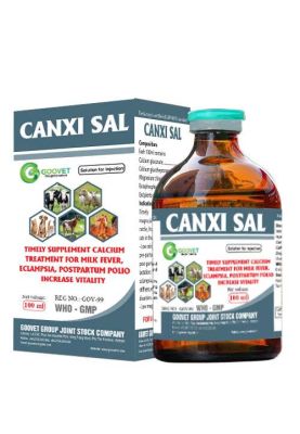 CANXI SAL (Iraq)