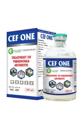 CEF ONE (Iraq)