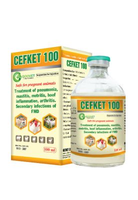 cefket-100-iraq