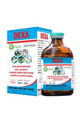 dexa-iraq
