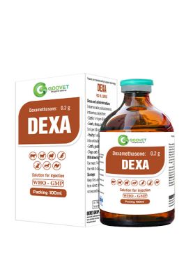 DEXA (export)