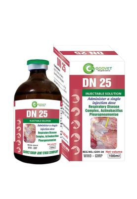 DN 25