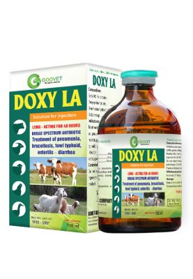 DOXY LA (Iraq)