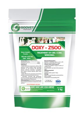 DOXY - Z500 (Iraq)