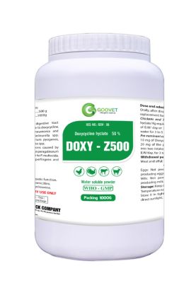 DOXY - Z500