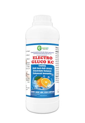 ELECTRO GLUCO KC