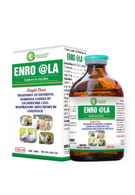enro-la-iraq