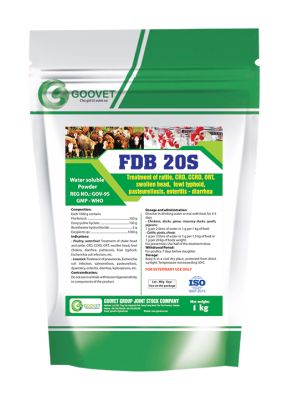 FDB 20S (Iraq)