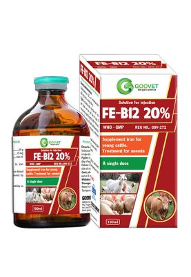 FE-B12 20%