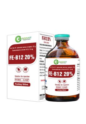 Fe-B12 20% 