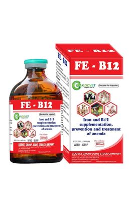 FE - B12