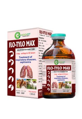 flo-tylo-max-iraq