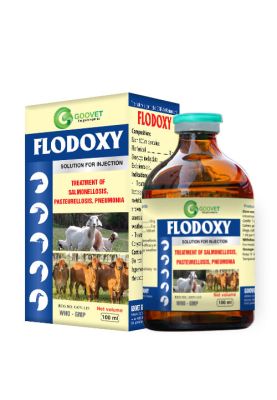 flodoxy-iraq