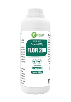 FLOR 200