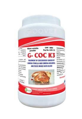 G-COC K3