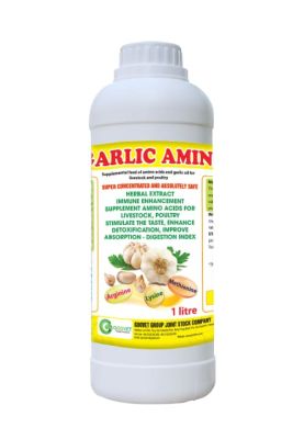 GARLIC AMINO (Iraq)