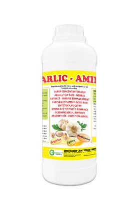 GARLIC - AMINO