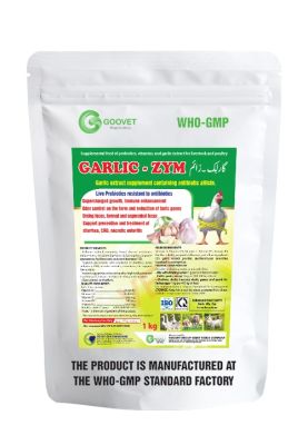 GARLIC - ZYM (Pakistan)