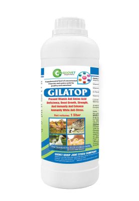 GILATOP (Iraq)