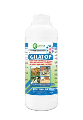 GILATOP