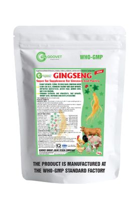 GINGSENG NEW