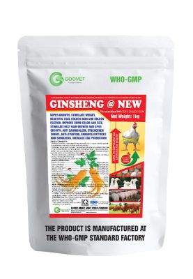 GINSHENG @ NEW