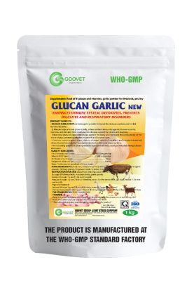 GLUCAN GARLIC NEW