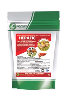 HEPATIC (Iraq)