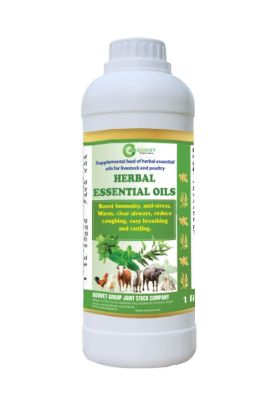 herbal-essential-oils-iraq
