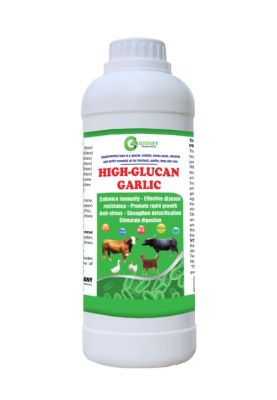 high-glucan-garlic-iraq