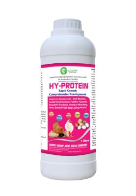 hy-protein-iraq